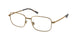 Polo 1218 Eyeglasses