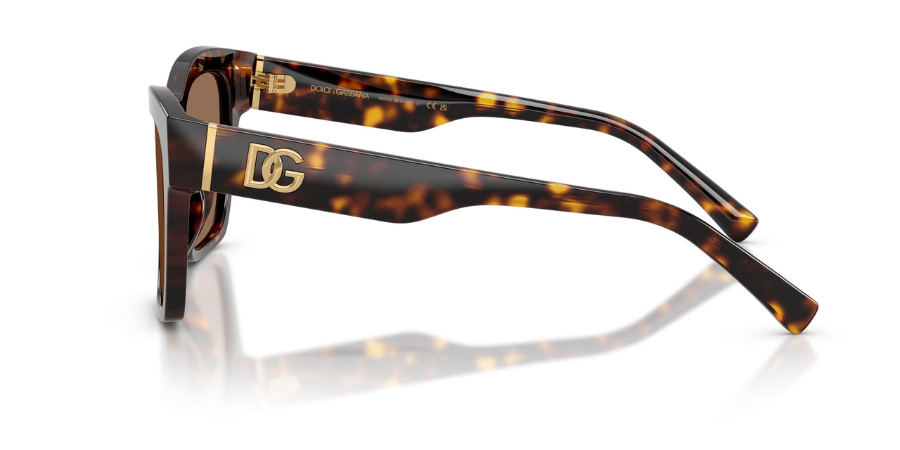 502/73 - Tortoise - Dark Brown
