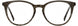 Adin Thomas AT442 Eyeglasses