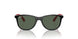 713171 - Black - Dark Green