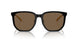 500173 - Black - Dark Brown