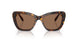 100273 - Tortoise - Dark Brown