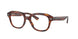 2144 - Brown - Clear