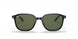 901/31 - Black - Green