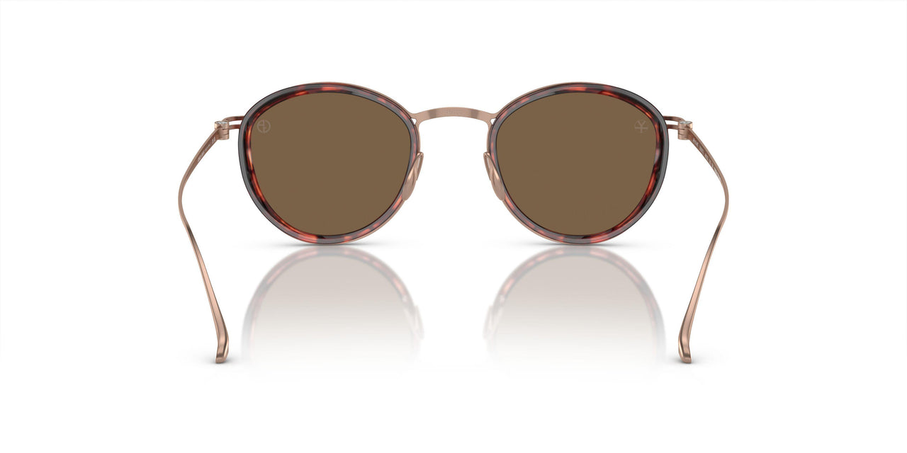 333573 - Tortoise - Dark Brown
