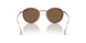 333573 - Tortoise - Dark Brown