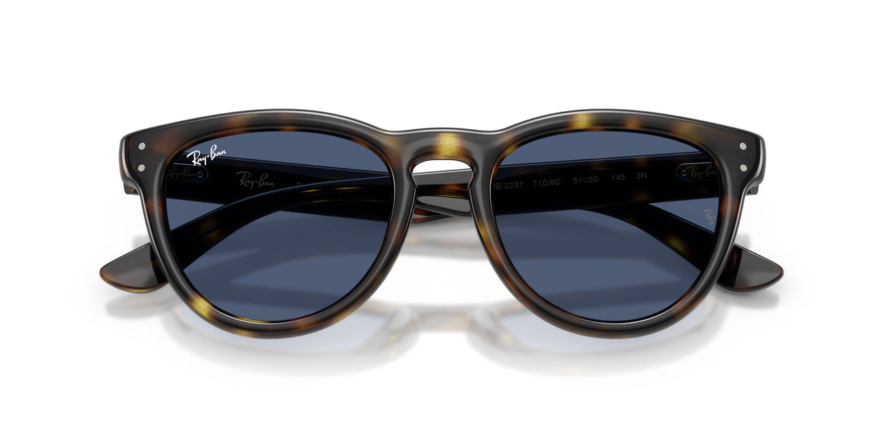 710/80 - Tortoise - Blue