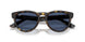 710/80 - Tortoise - Blue