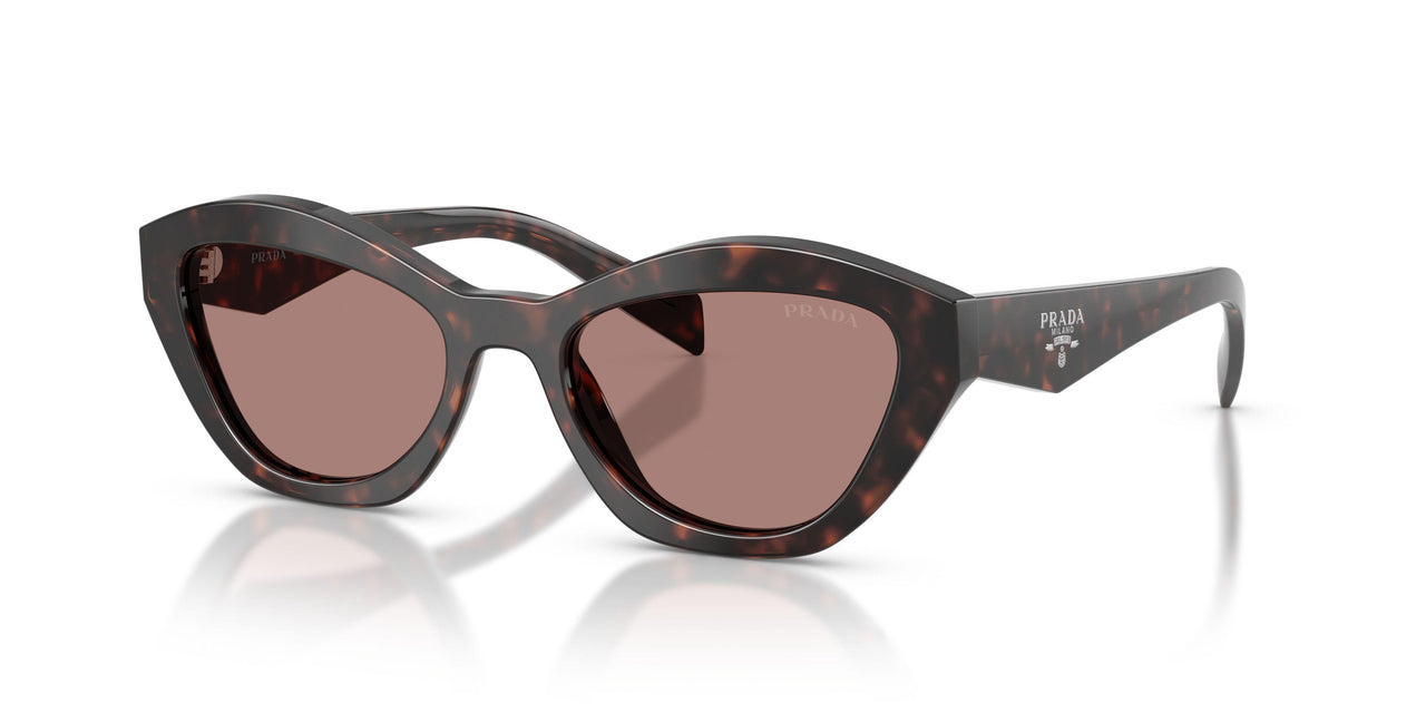 17N60B - Tortoise - Light Brown