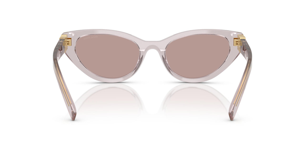 12W20I - Violet - Light Purple Brown