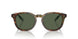 50179A - Tortoise - Bottle Green Polarized