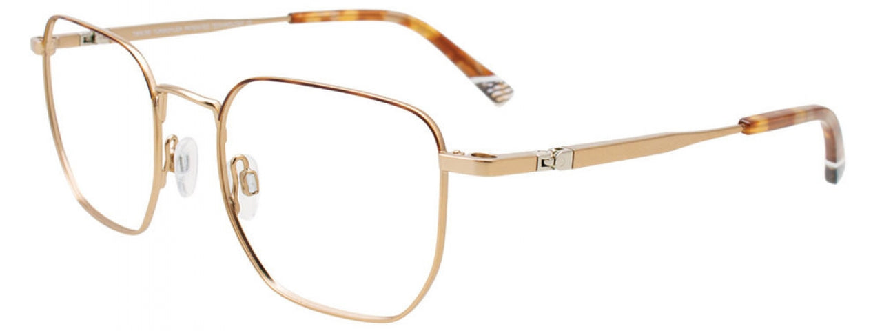 10 - Gold & Tortoise