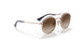 288/13 - Light Brown - Gradient Brown