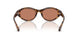 201373 - Tortoise - Solid Brown