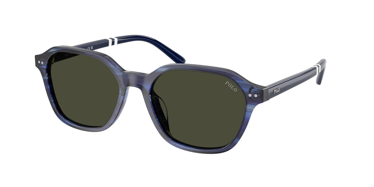 Polo 4234U Sunglasses