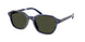 Polo 4234U Sunglasses
