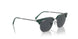 713087 - Green - Dark Grey
