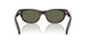 17N03R - Tortoise - Green Polarized
