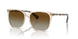6072T5 - Brown - Polar Gradient Brown