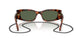 W6569A - Brown - Dark Green Polar