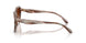 590174 - Brown - Brown Gradient