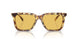 504585 - Tortoise - Amber Solid