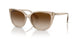 580213 - Brown - Gradient Brown