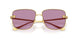 1002AK - Gold - Dark Violet Mirror Silver Int