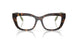 1964 - Tortoise