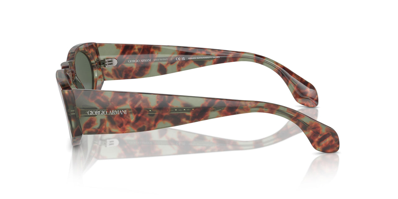 597771 - Brown - Dark Green