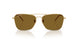 001/83 - Gold - Polar Dark Brown