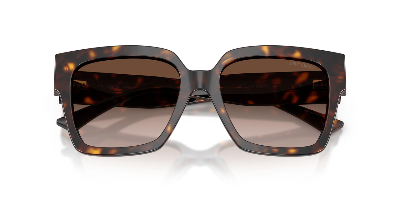 500213 - Tortoise - Gradient Brown