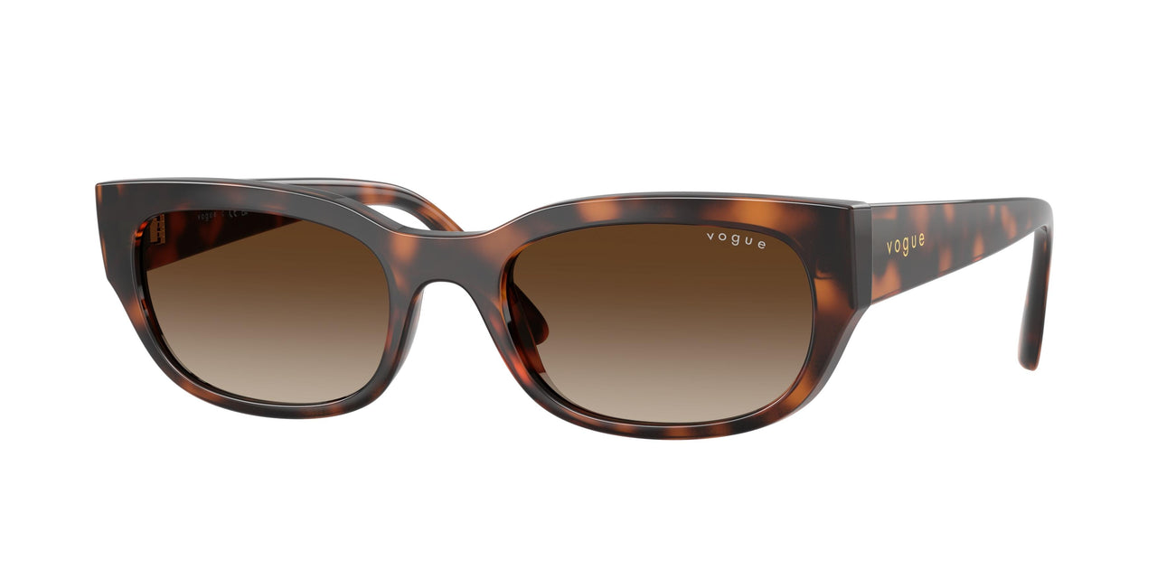 Vogue 5669S Sunglasses