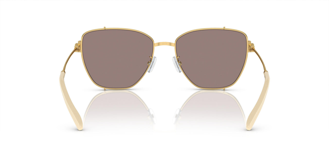 32787N - Gold - Light Purple Brown