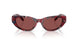 204075 - Tortoise - Dark Violet