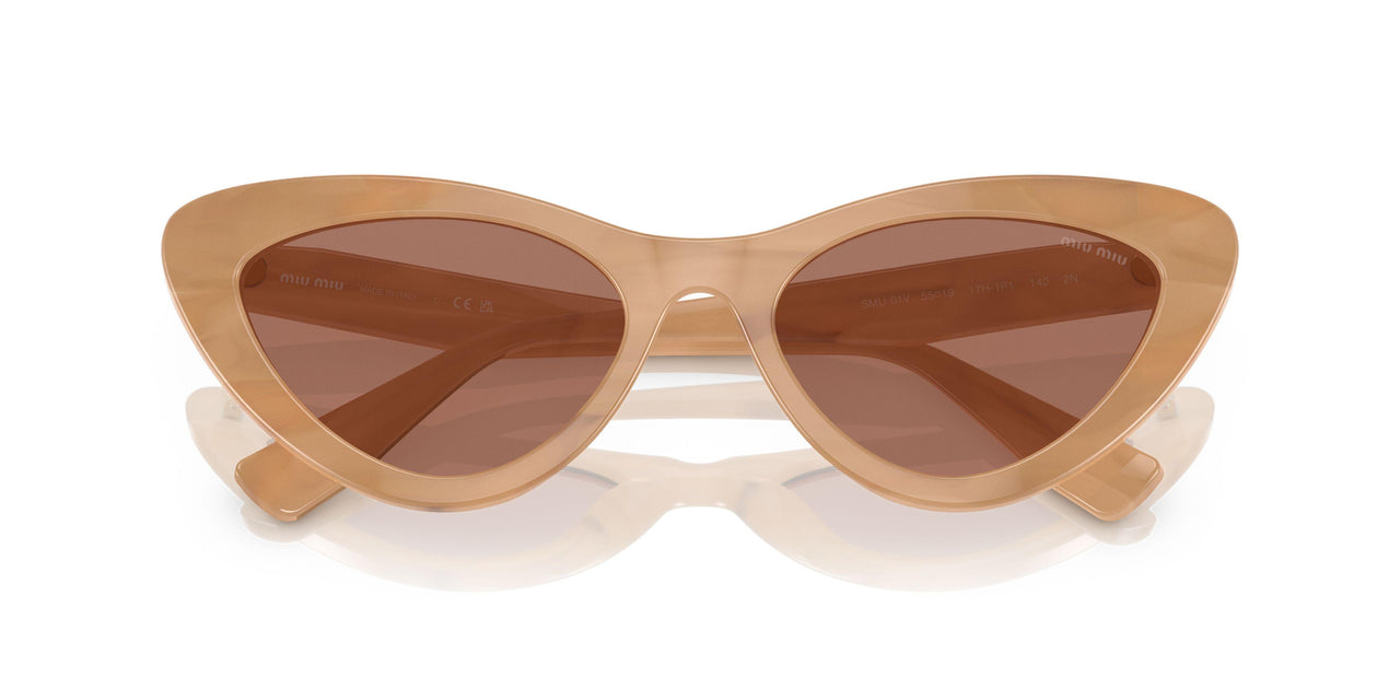 17H1P1 - Beige - Dark Brown