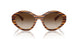 150813 - Brown - Brown Gradient