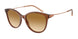 Emporio Armani 4220 Sunglasses