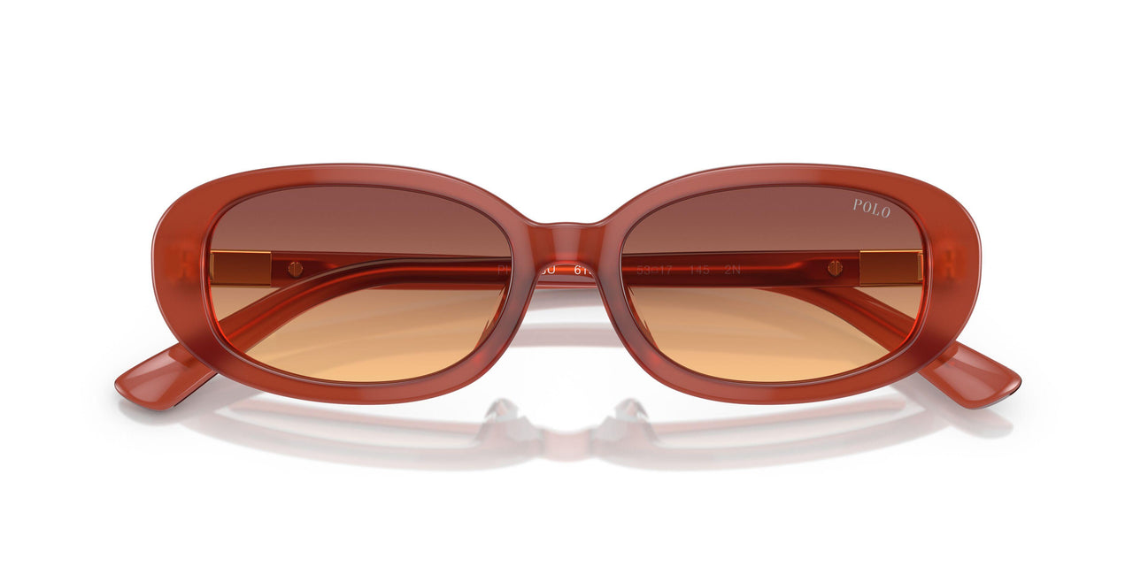 619478 - Brown - Orange Gradient Violet