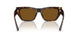 500283 - Tortoise - Dark Brown Polar