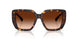 300274 - Brown - Brown Gradient