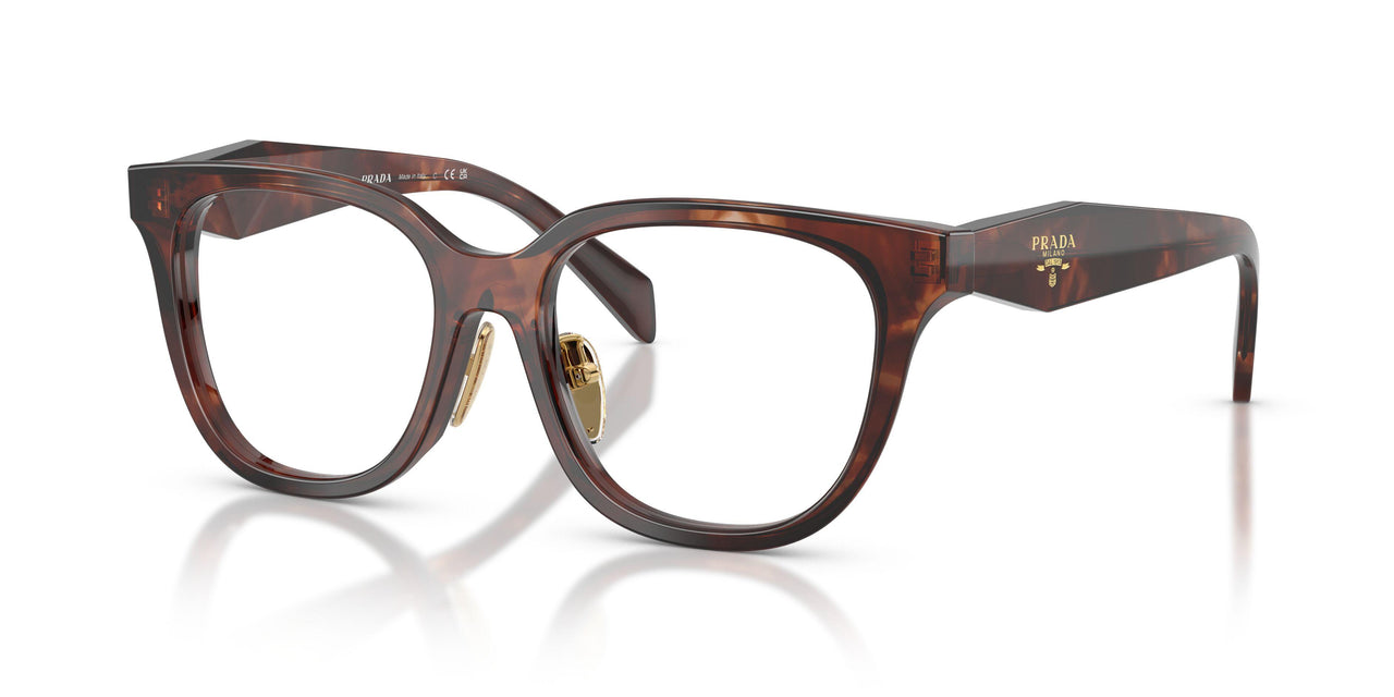 14P1O1 - Tortoise