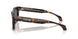 550981 - Tortoise - Dark Grey Polar