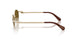 404673 - Gold - Light Brown