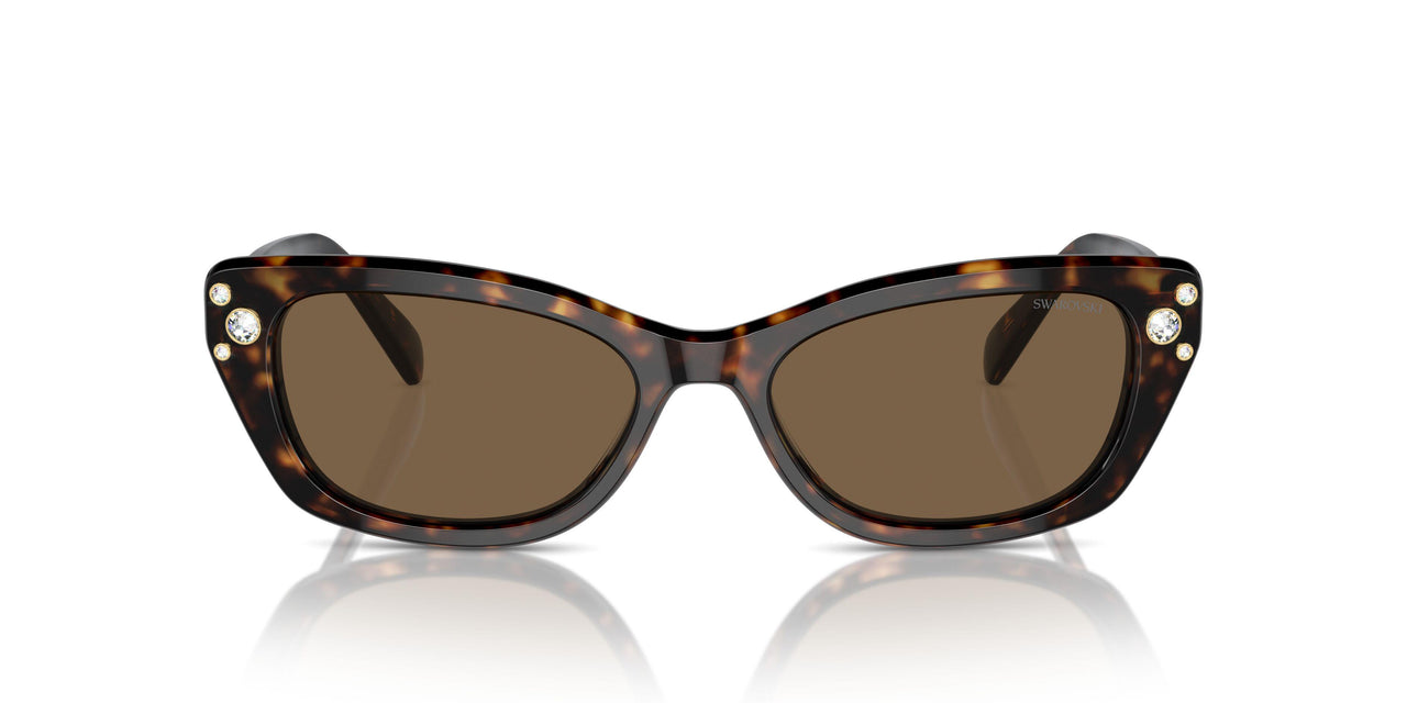 100273 - Tortoise - Dark Brown