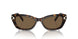 100273 - Tortoise - Dark Brown