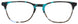TBL - Tortoise/Blue