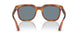 96/56 - Brown - Light Blue
