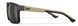 AC6FND04 Captivate Tungsten Mirror/Matte Black And Tan