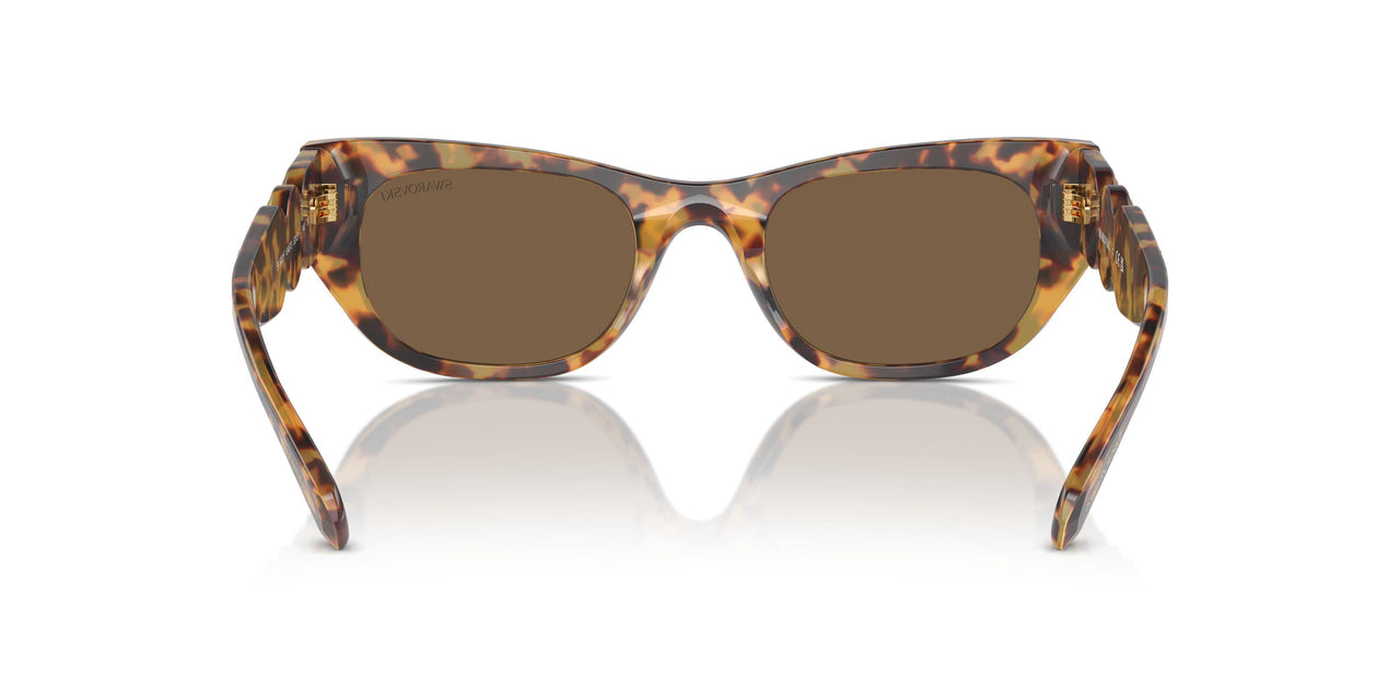 104073 - Tortoise - Dark Brown